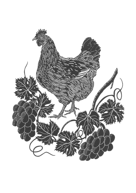 Coq au Vin