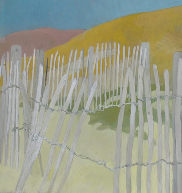 Coastal Fences