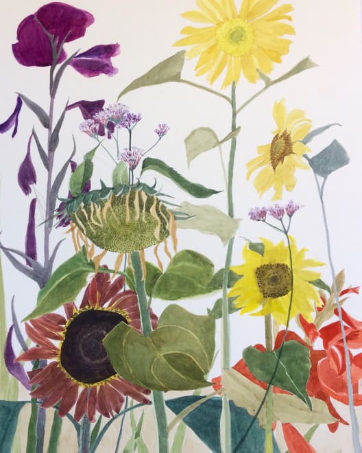 The Kindness of Plants