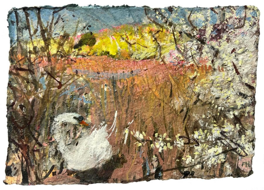 Blackthorn Froth with Swan