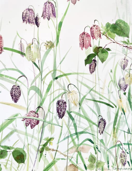 Fritillary and Brambles 2