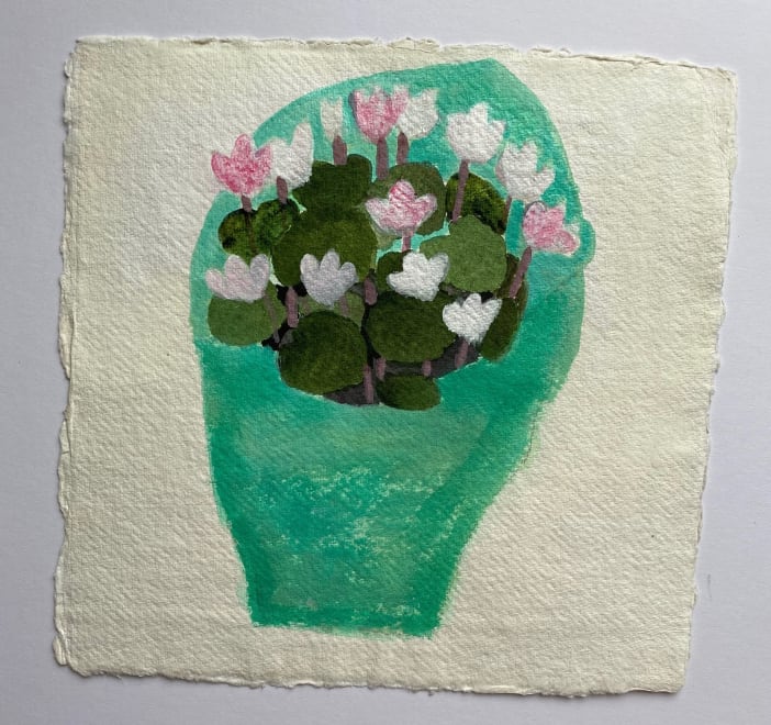 Tiny Cyclamen in Green Tissue Paper