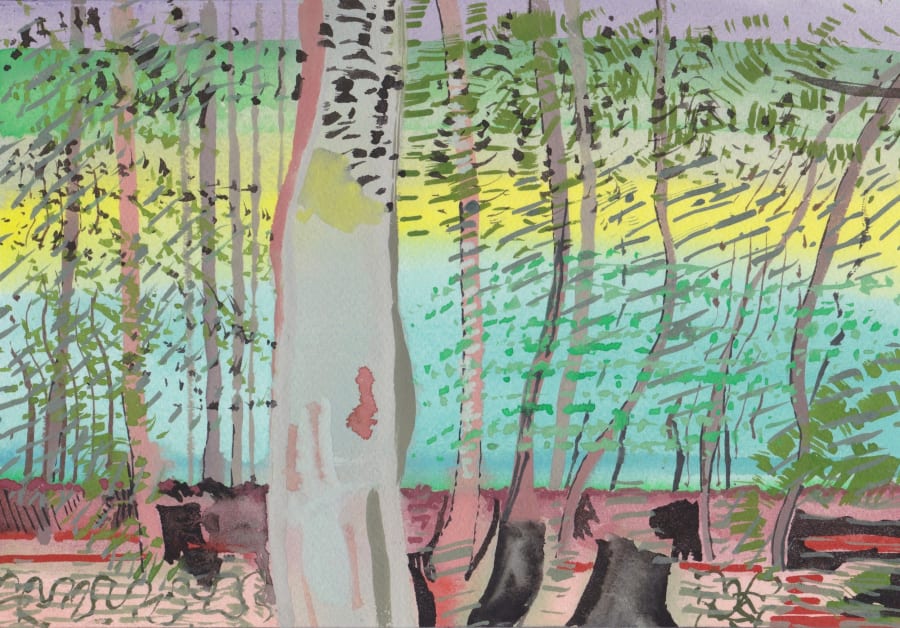 Behind the Trees