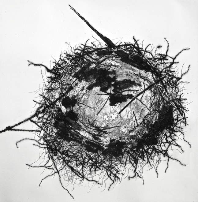 Feathered Nest 2