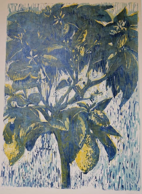 Lemon Tree