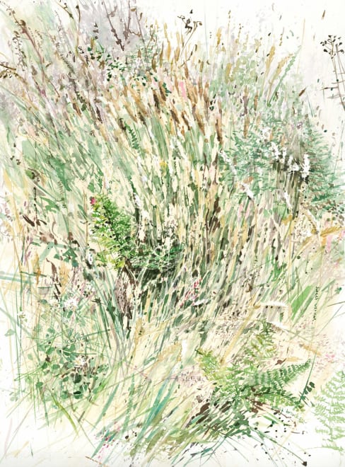 Mid Summer Grasses