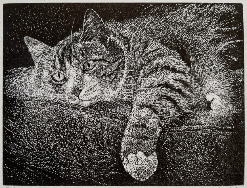 By the Fireside