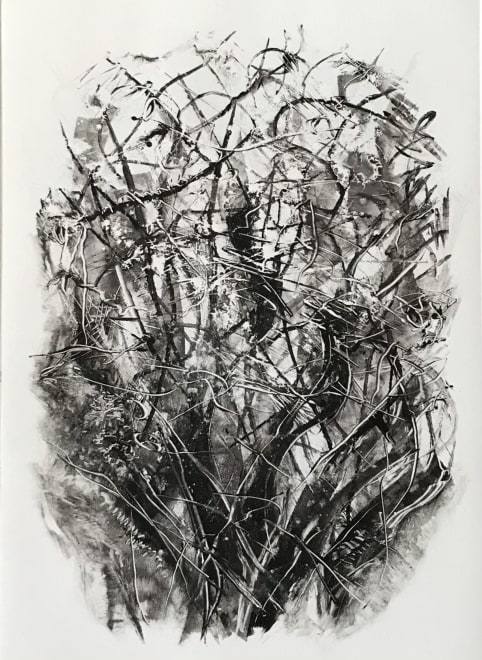 Winter Trees 1