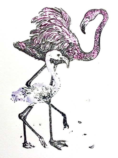 Flamingo