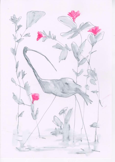 Wading Birds #19