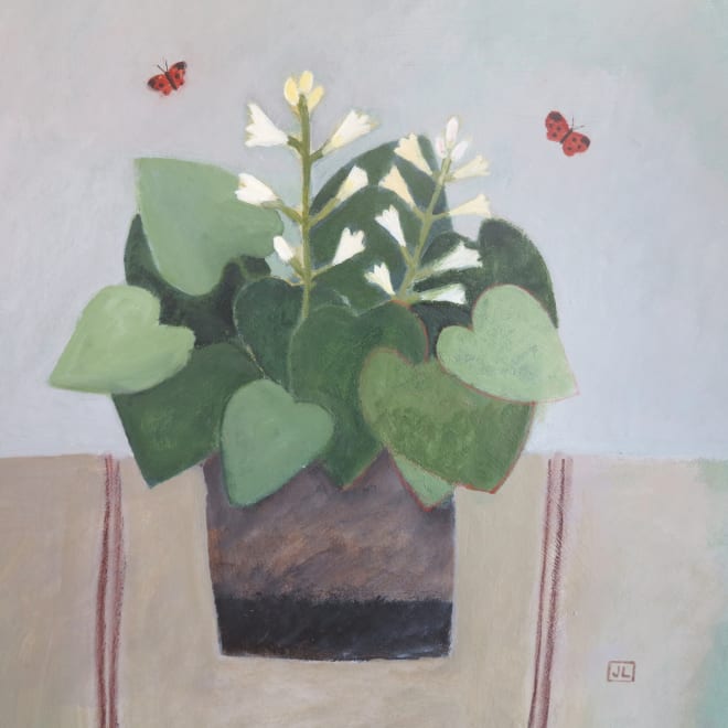 Hosta and Butterflies