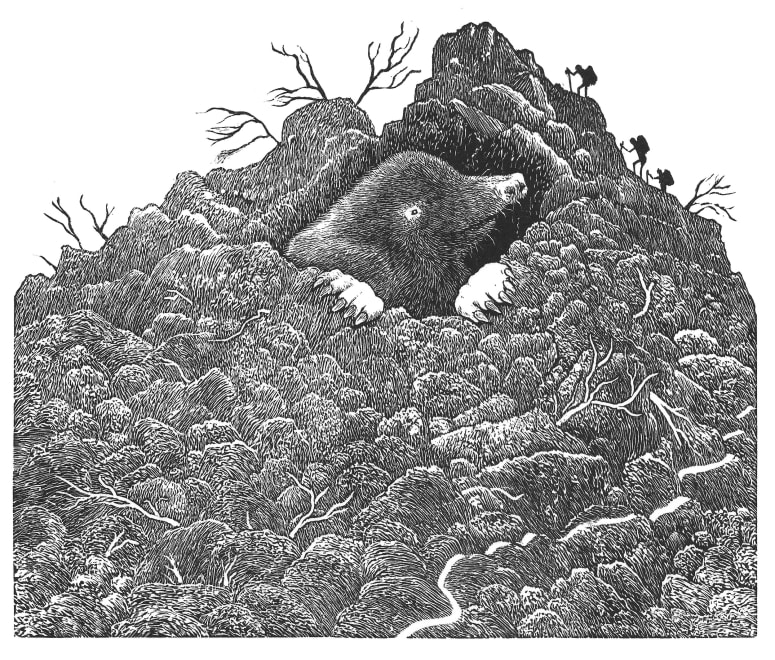 Making A Mountain Of A Molehill