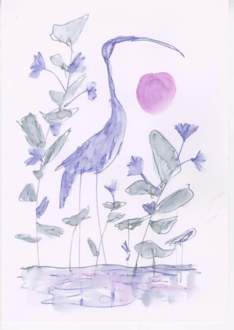 Wading Birds #22