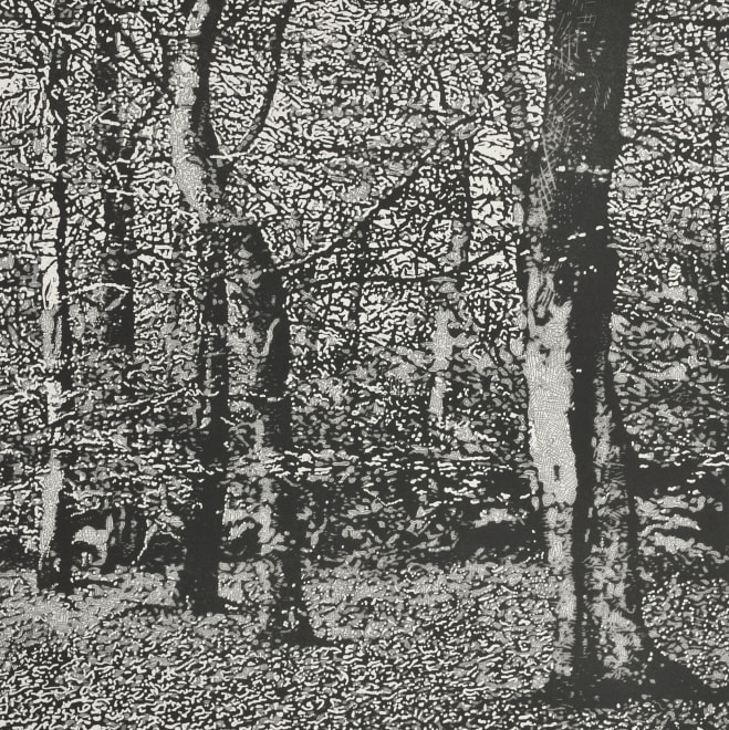Woodland III
