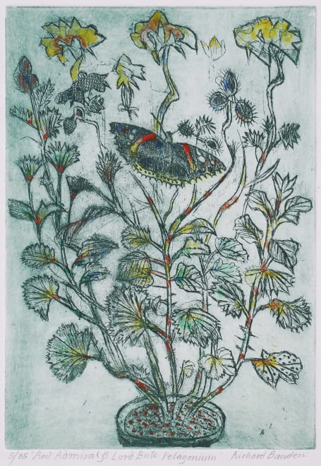 Red Admiral and Lord Bute