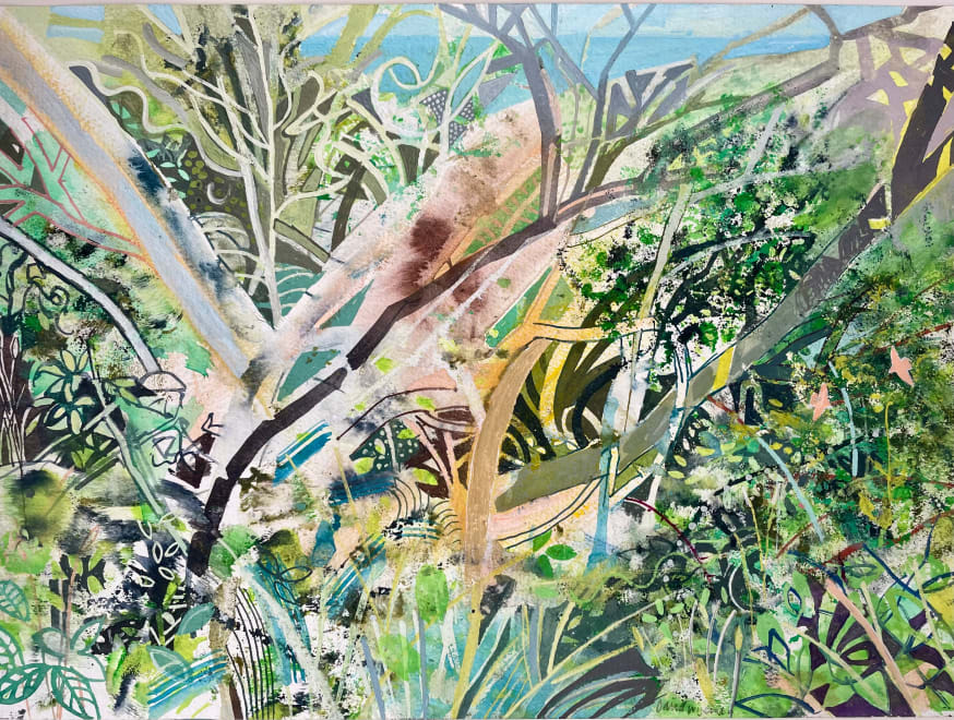 Woodland Above Swanage