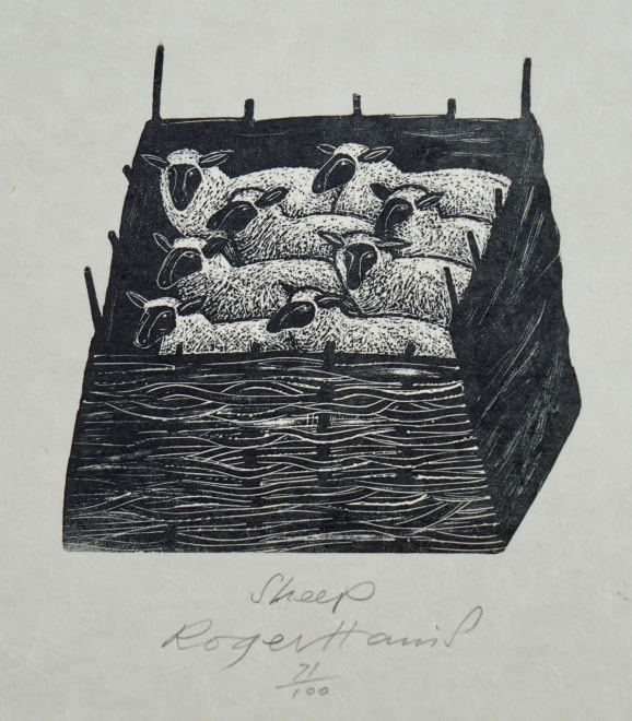 Sheep