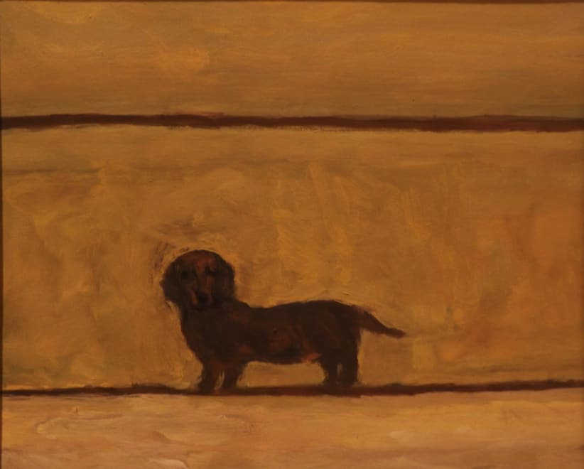 Little Dachshund