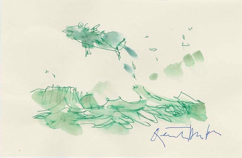 Flying fish