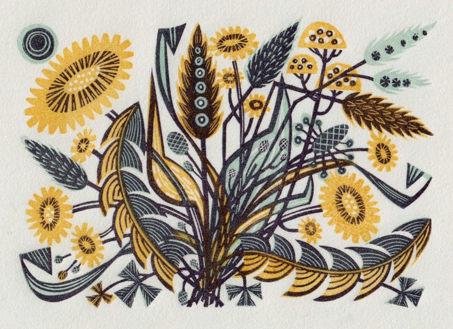 Dandelion Track II