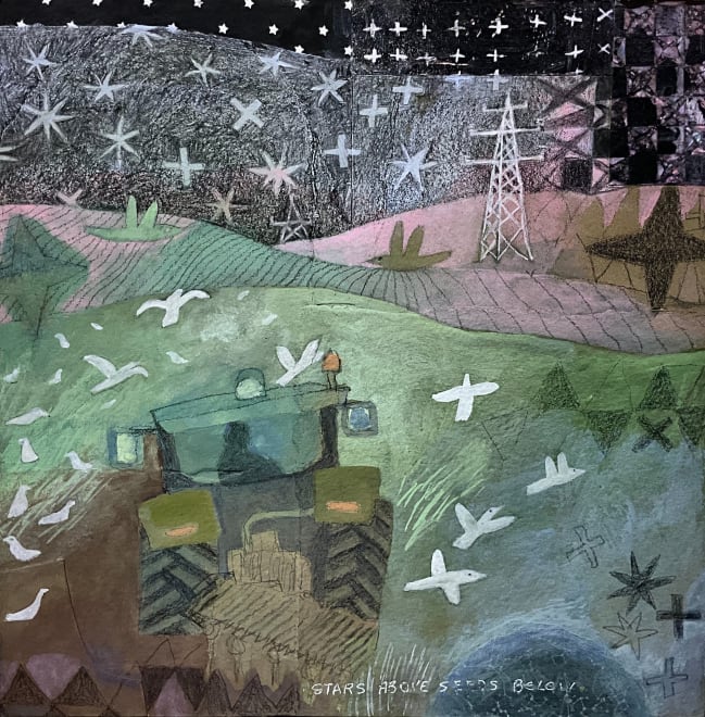 Stars Above Seeds Below