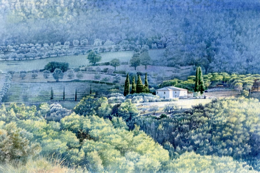 Late Afternoon Sun in Umbria