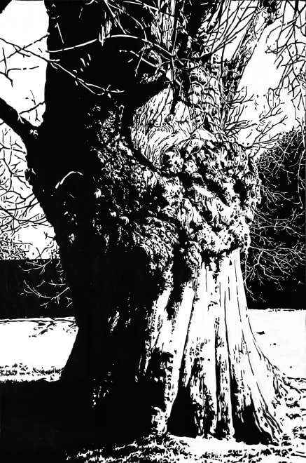 Greenwich Park V