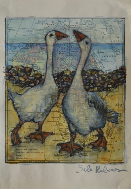 Two Geese - Study
