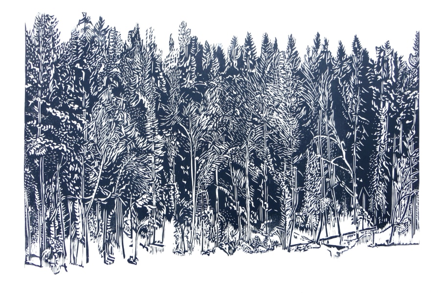 Grey Forest