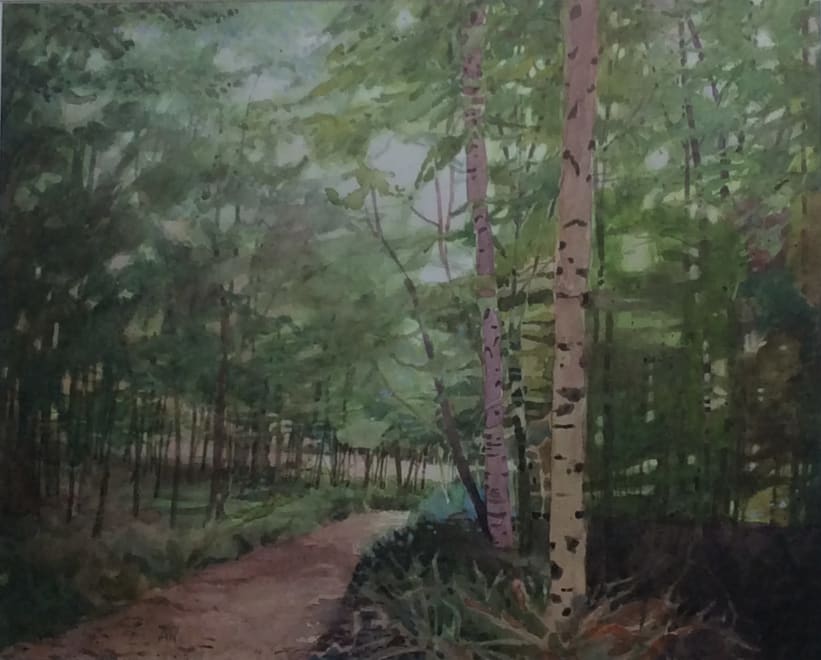 Horsley Woods