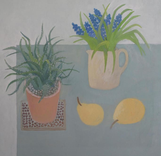 Grape Hyacinths