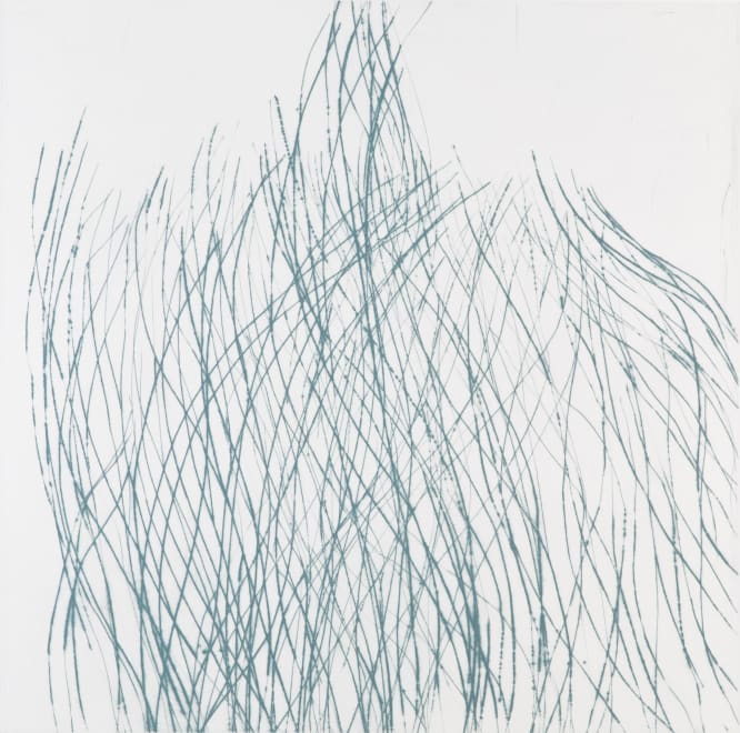 Grass