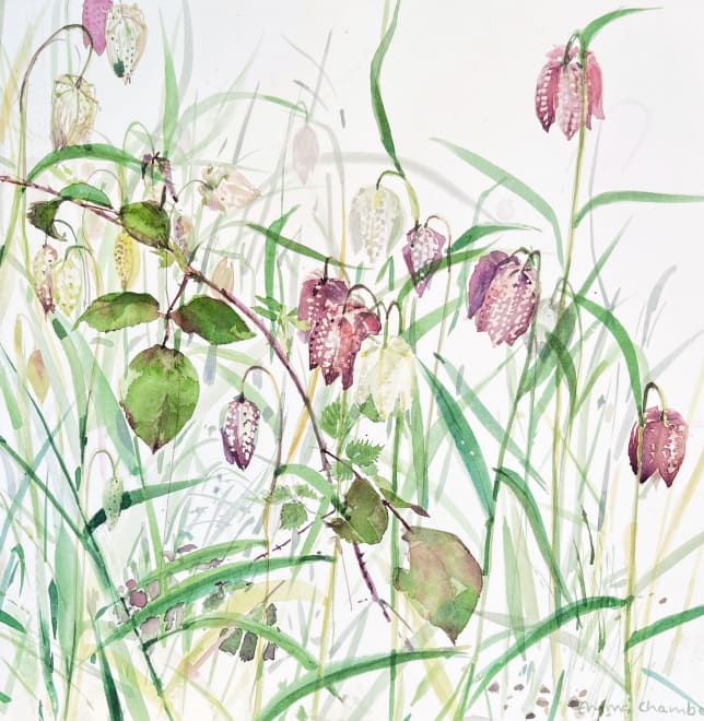 Fritillary and Brambles