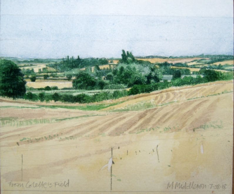 From Colette's Field