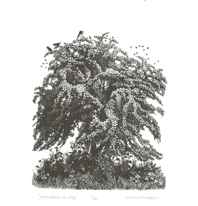 When Birds Do Sing