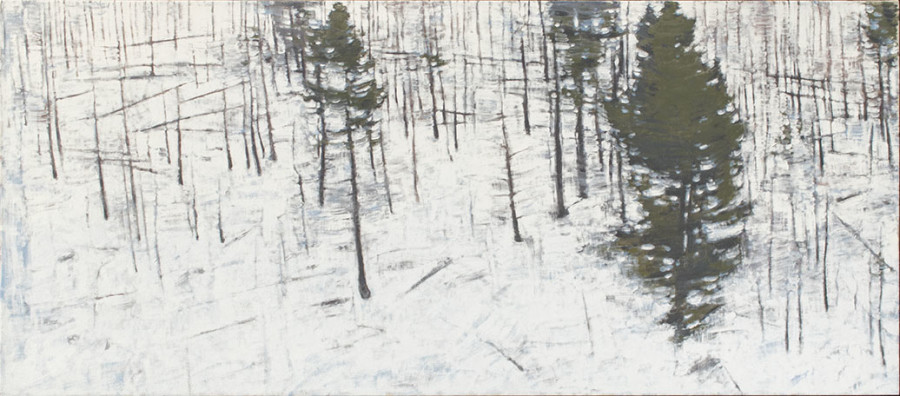 Jared Sanders, Organic Geometry