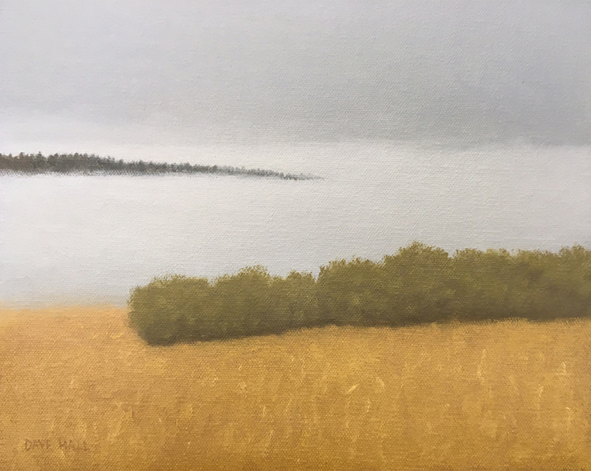 Dave Hall, Willows