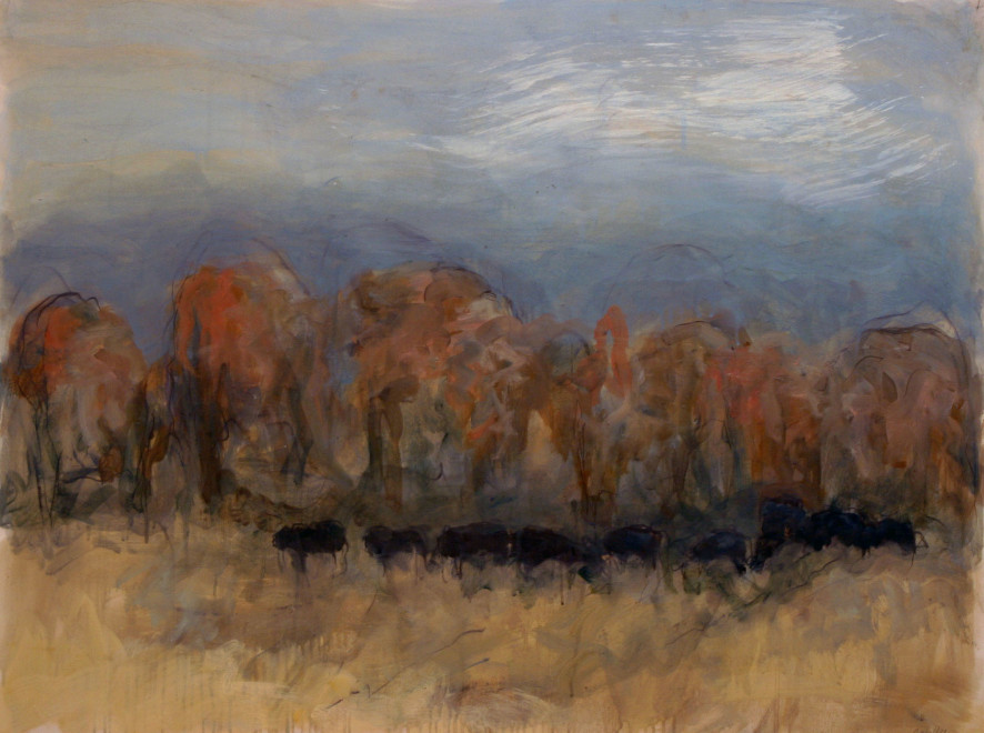 Works on Paper by Theodore Waddell, Red Willow Angus Drawing #7