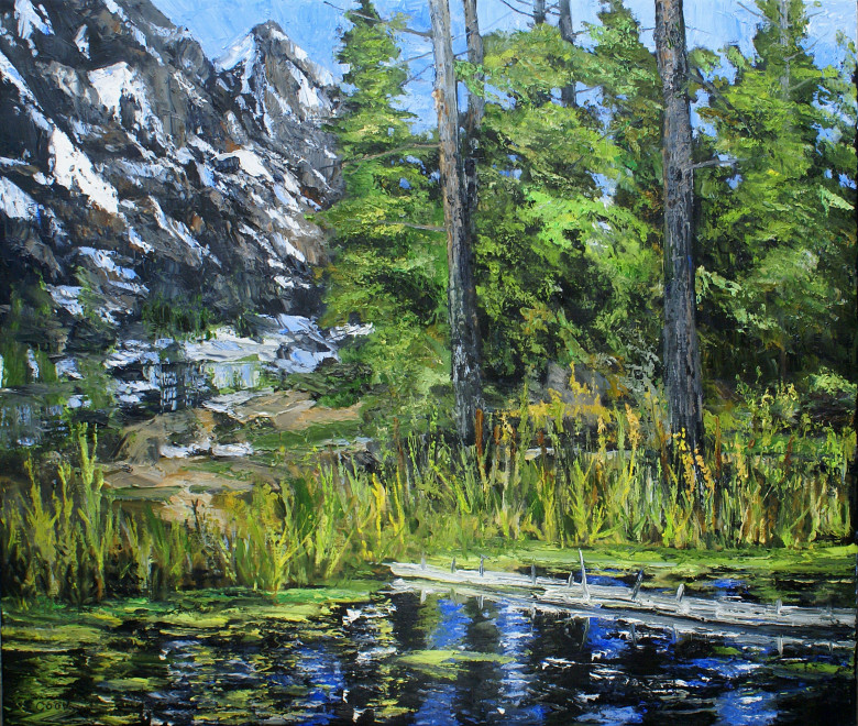 James Pringle Cook, Upper Pool - Teton #1