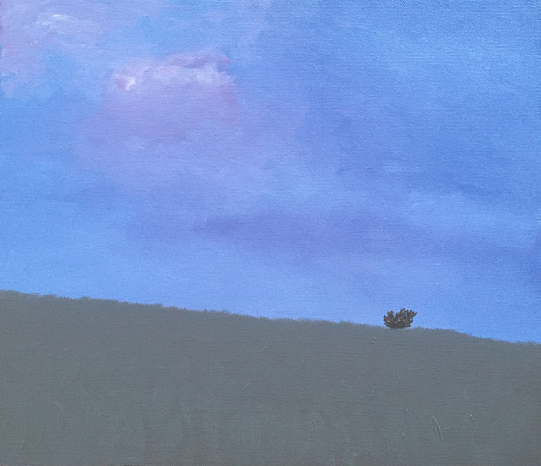 Dave Hall, Sentinel