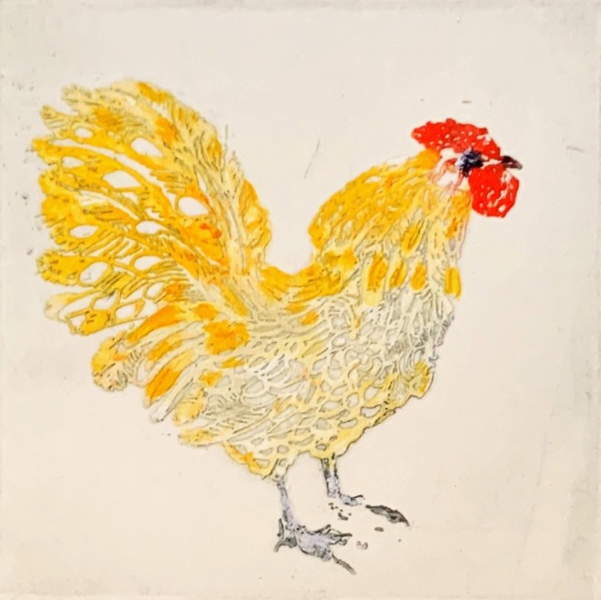 Buff Cockerel