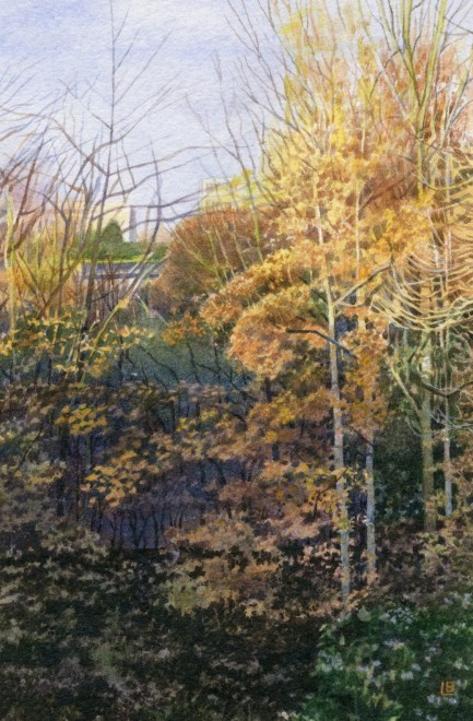 Autumn in the Park