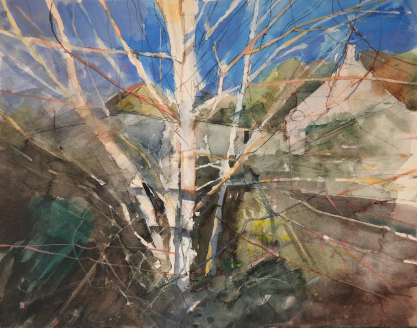 Birch Trees, Middlehill