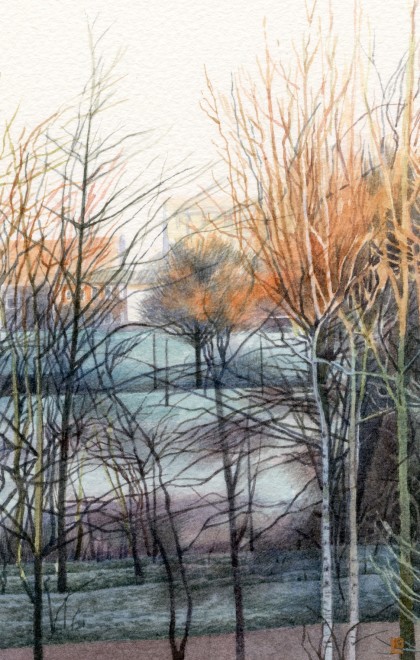 Frosty Morning in the Park