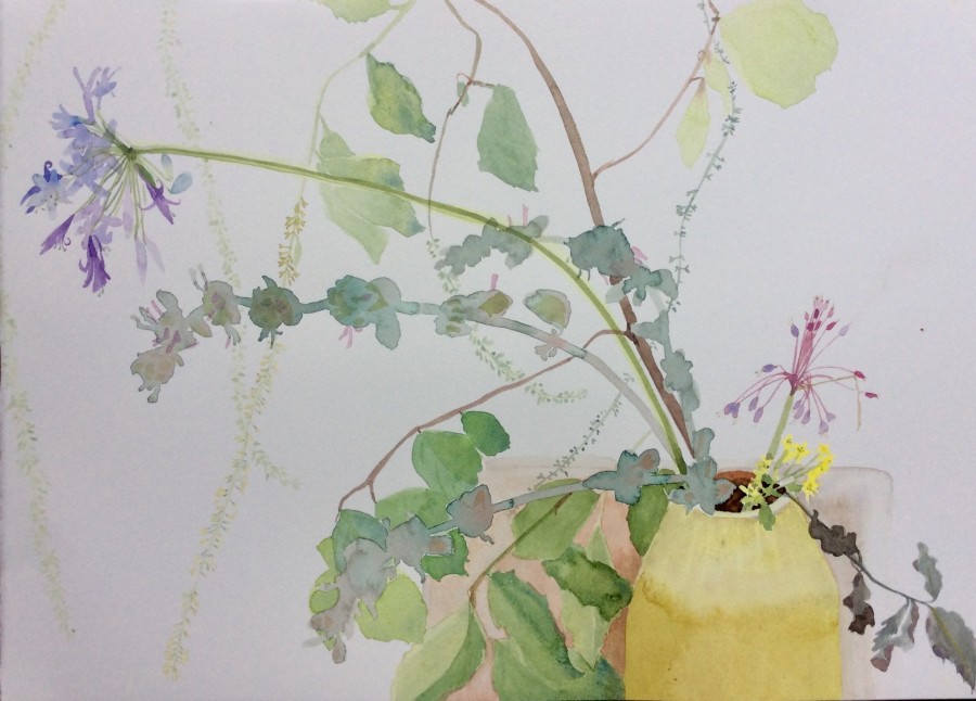 Study with agapanthus