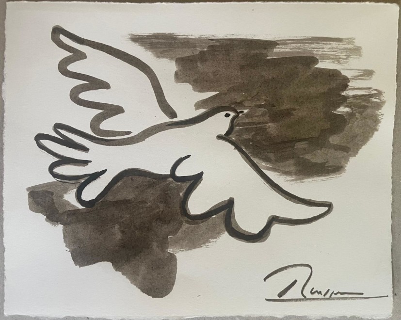 Size XS | Dove I 
