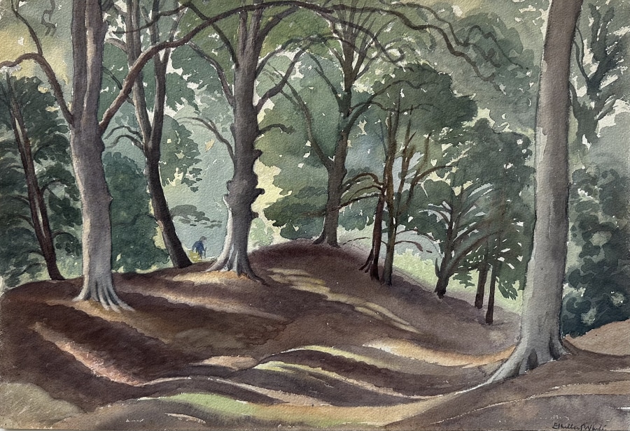 Ethelbert White, Sussex Woodland, c. 1930s