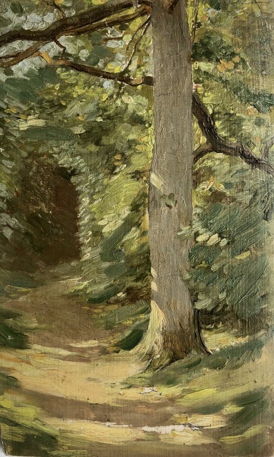 William Cubitt Cooke, The Sunlit Pathway, c. 1910