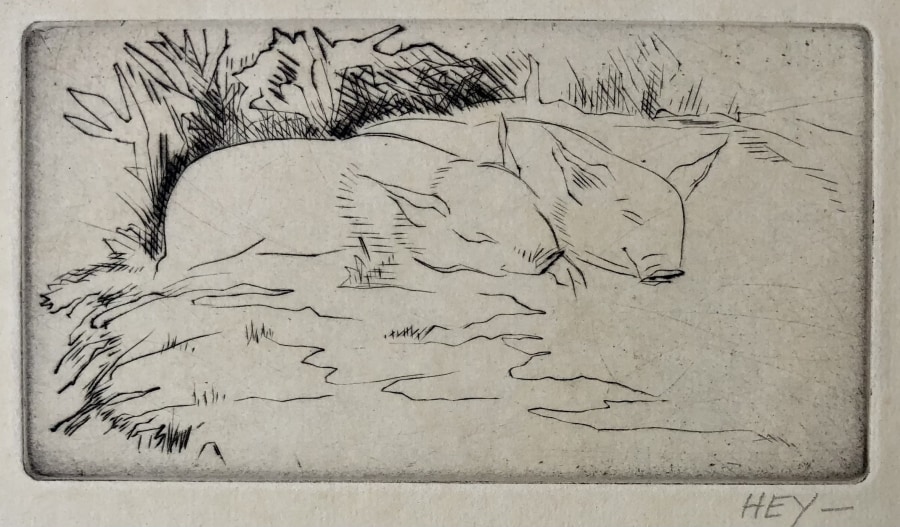 Cicely Hey, Piglets Sleeping, c. 1924