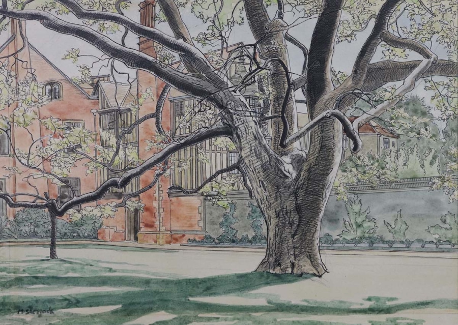 Marjorie Sherlock, Walnut Tree, Queens College, Cambridge, c. 1934